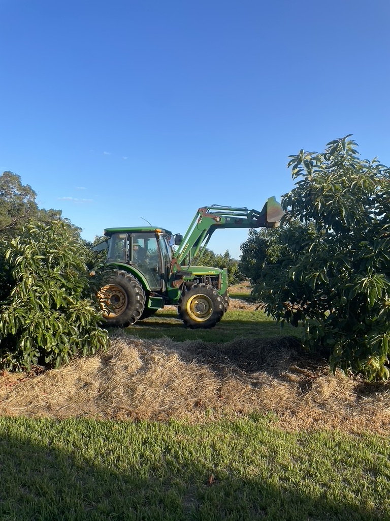 Tractor Spreading Fertilizer