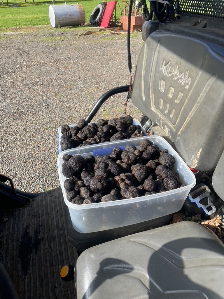 Washed truffles
